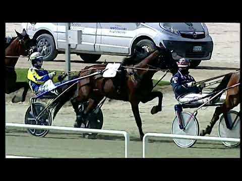 Napoli Trotto 08/04/2022 - 3ª corsa