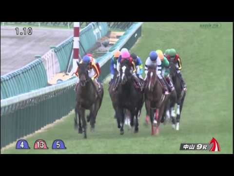 ホープフルステークス 2015(2000m)THE HOPEFUL STAKES 2015