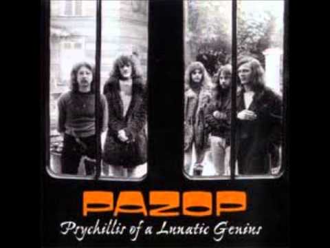 PAZOP - Crying for Disaster's Hand