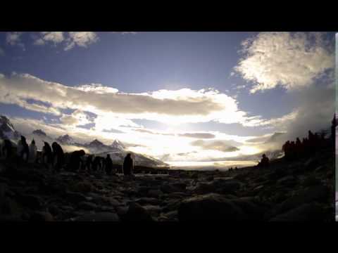 time lapse of the group and the king penguins-St. Andrew's Bay (November 29th, 2015)