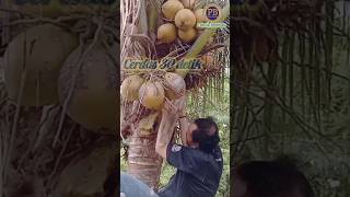 Download lagu Cerdas 30 detik Episode 04 mp3