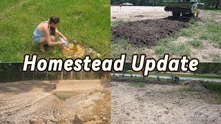 Homestead Update