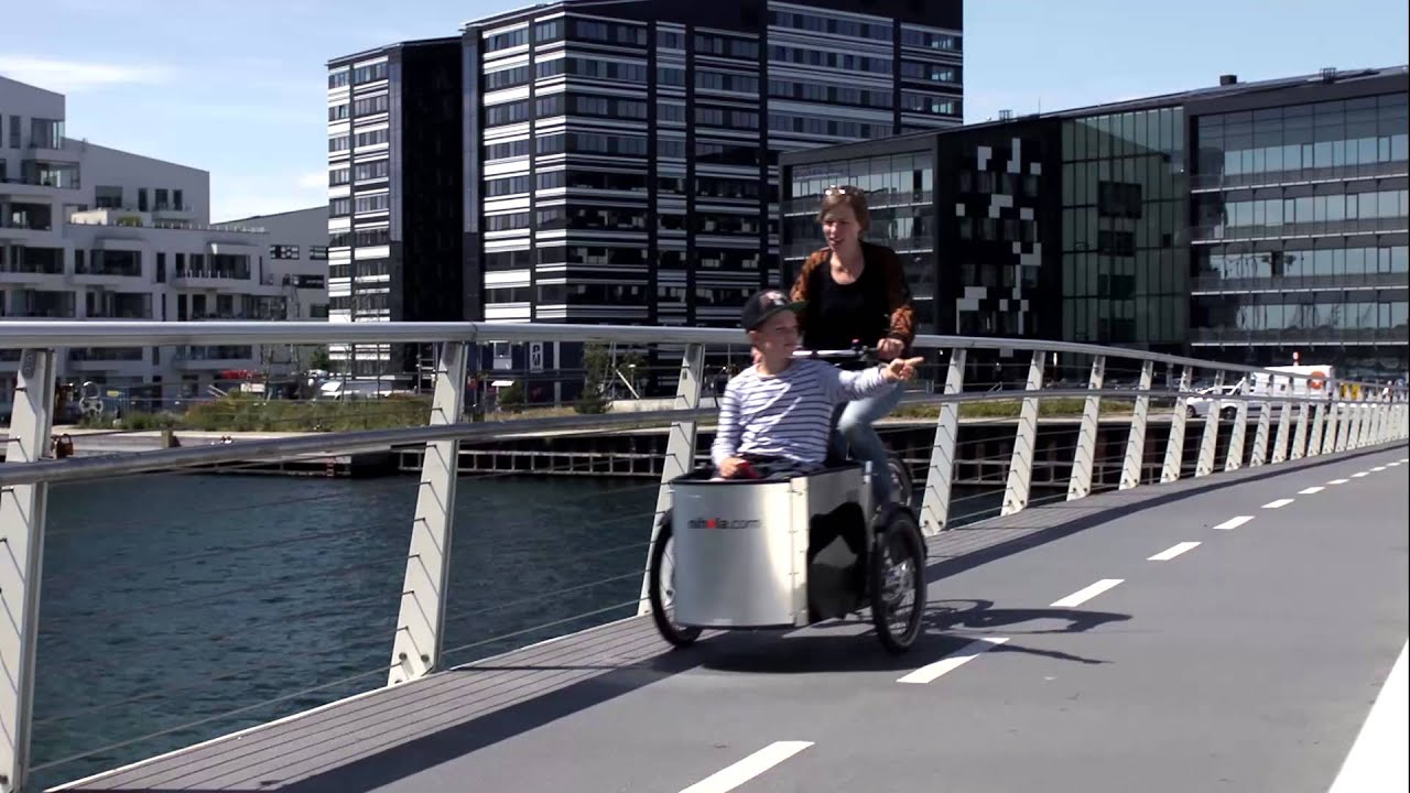 Electric tricycle - 1 adult