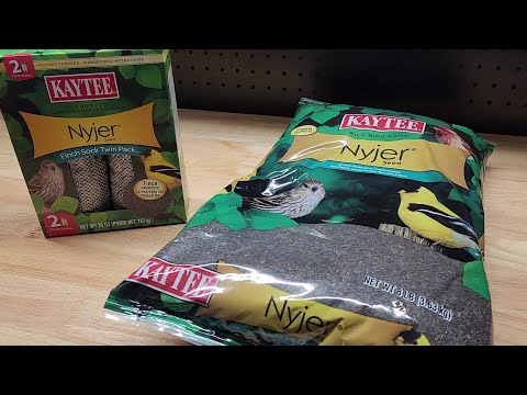 Testing Out KAYTEE Nyjer Seed And Finch Socks!
