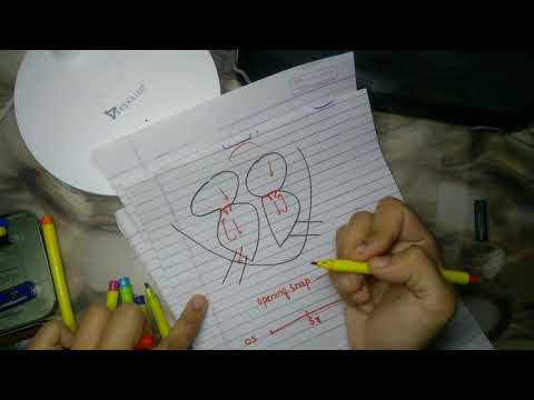 opening snap, ejection click, heart sounds sequence explained concept #cardiology #medical