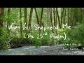 When You Shepherd Me 