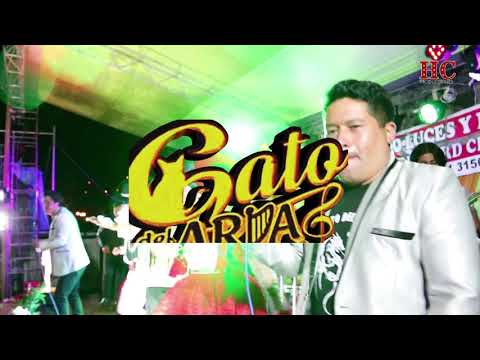 Gato Del Arpa - Chiririnkacha / Videoclip Oficial 2020 (Huayno Perú)