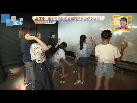 【夏休みにピッタリ】湯沢高原に親子で楽しめる室内アトラクションが登場《新潟》