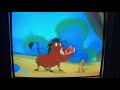 Las Aventuras De Timón Y Pumba Había Una Vez Un Timón 2 Parte Final