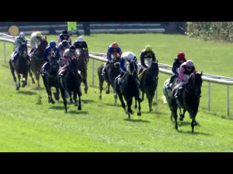 Dielsdorf/25.09.2016/Preis der KPMG