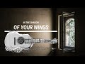 In The Shadow Of Your Wings Guitar Solo 