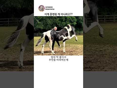 이게 훈련된 게 아니라고??
