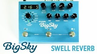 Strymon BigSky - Swell Reverb machine audio demo