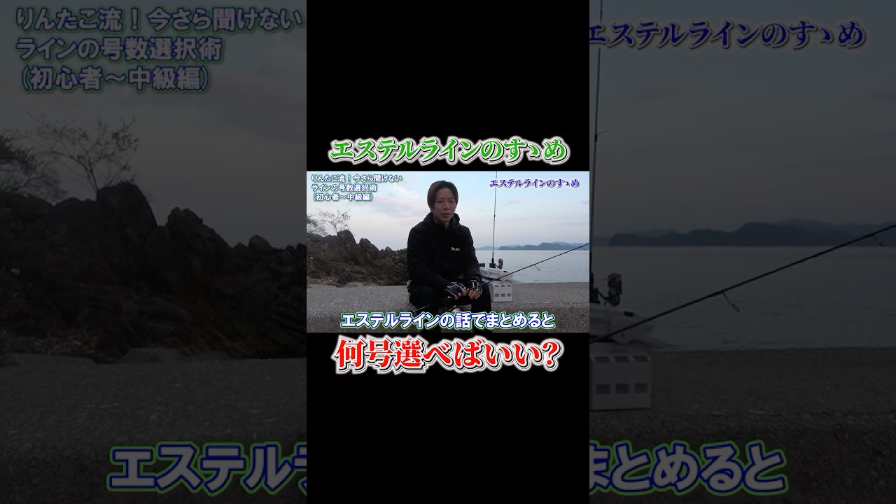 【有料級】魚種での号数分けはコレ‼️