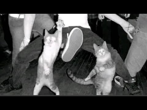 Oladad - Te amo (RITAKA style) (beat maker Dj natal)