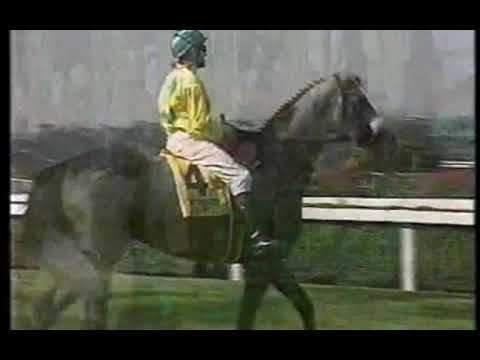 Hainan Dao Woolavington 2400