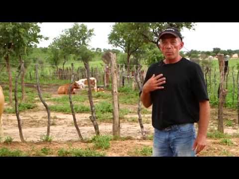 Kalahari New Hope (Namibia)