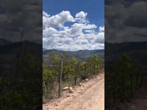 Praga Aipe Huila #colombia #travesia #viajes #viajeinolvidable #travel