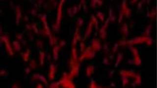Amon Amarth - The Last With Pagan Blood (sub en español)