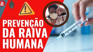 Protocolo de Profilaxia da Raiva Humana: Tudo o Que Você Precisa Saber