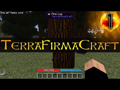 1 So It Begins | Minecraft TerraFirmaCraft SMP Gameplay