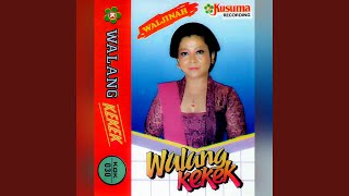Download lagu Walang Kekek mp3