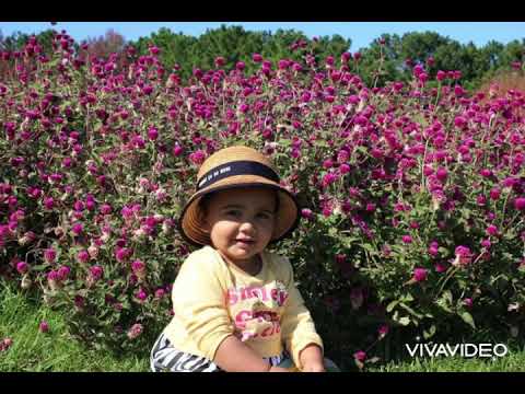 Happy birthday Lithika 💖🎊🌈