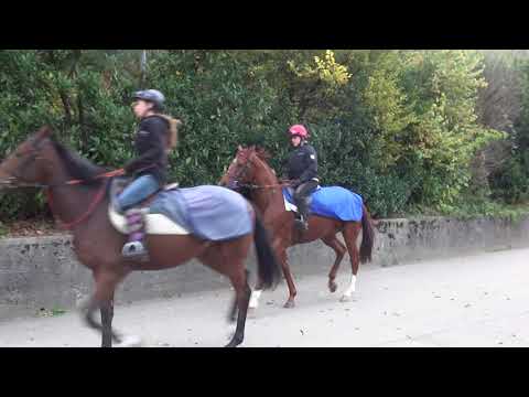 Trainingsmorgen bei Miro Weiss
