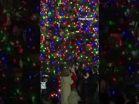 WATCH: Speaker Johnson hosts the annual Christmas tree lighting at the Capitol #foxnews #news #us