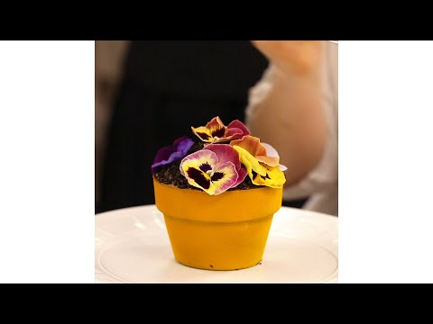 フランジパニの管理方法 植木鉢の水やり 粗砂水