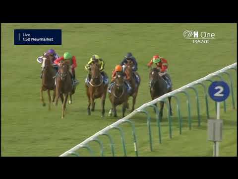 Zetland Stakes - Listenrennen