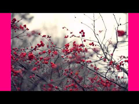 SBTRKT Feat. Little Dragon - Wildfire (PatrickReza Dubstep Remix) [HD 320kbps 720p]