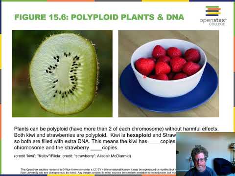 Ch 15 Genes and Proteins Narration1