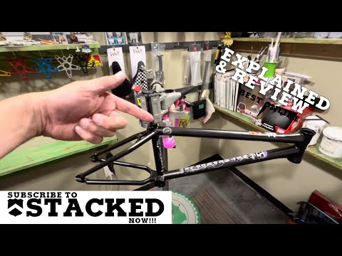 Wethepeople Network Frame Explained & Review