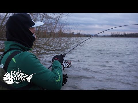 So war das nicht geplant... // Dicker "Beifang" bei Köderchallenge auf Hecht