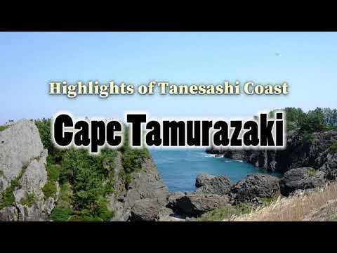 Michinoku Coastal Trail "Cape Tamurazaki"