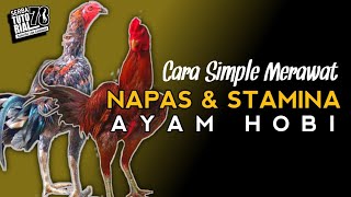 Download lagu How to Treat Good Breath and Stamina in Chickens mp3