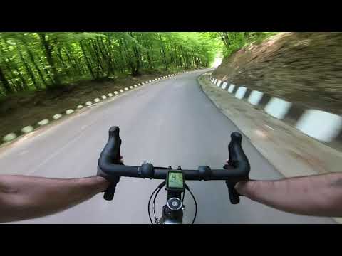 Tătaru - Coșărele ( Coșerele )