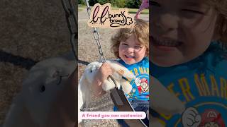 Bunny Brand on Kickstarter #plushies #giftideas #cute