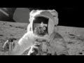Documentary Science - Cosmic Journeys - The Incredible Journey of Apollo 12