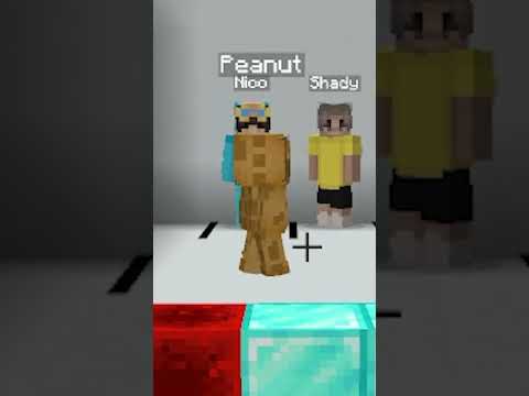 Minecraft COLOR MATCH! 3