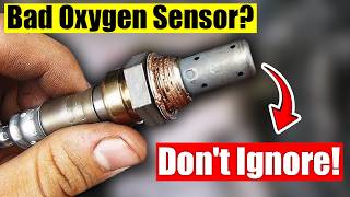 Bad Oxygen Sensor? Watch For These 5 Warning Signs Before It's Too Late