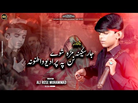Jaar Sakeena Mrrah Shwy | Pashto Noha 2024 |Ali Rose Muhammad Official