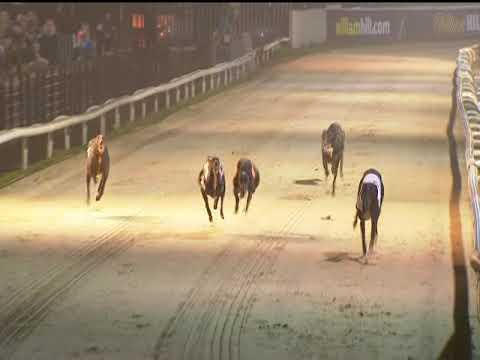 2017 WILLIAM HILL 670 - T5 GEELO MONTY