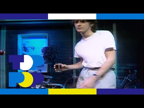 Stiekem gedanst - Toontje Lager
