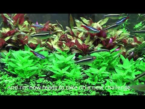 SCIO 65L Final Video