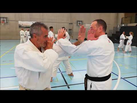Tatsu Dojo Bern am Seminar 2023 mit Weltmeister Lucio Maurino in CH-Gelterkinden