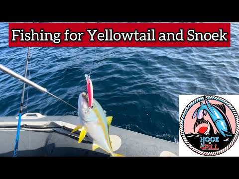 Cape Point fishing for Yellowtail, Snoek, Bonito {Catch&Cook, Snoek braai}