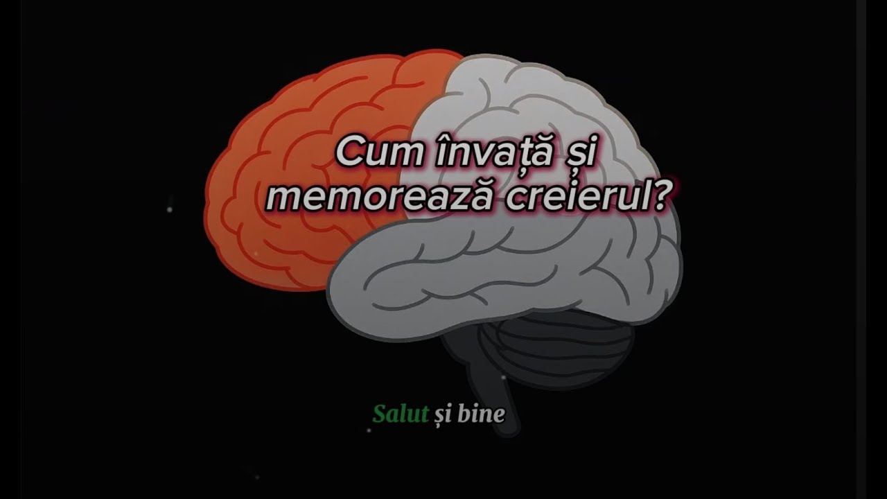 De ce unii prind din zbor, iar alții se chinuie ore în șir? Uite de ce.
