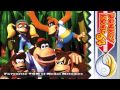 Golden VGM 596 Donkey Kong 64 File Select Fandango